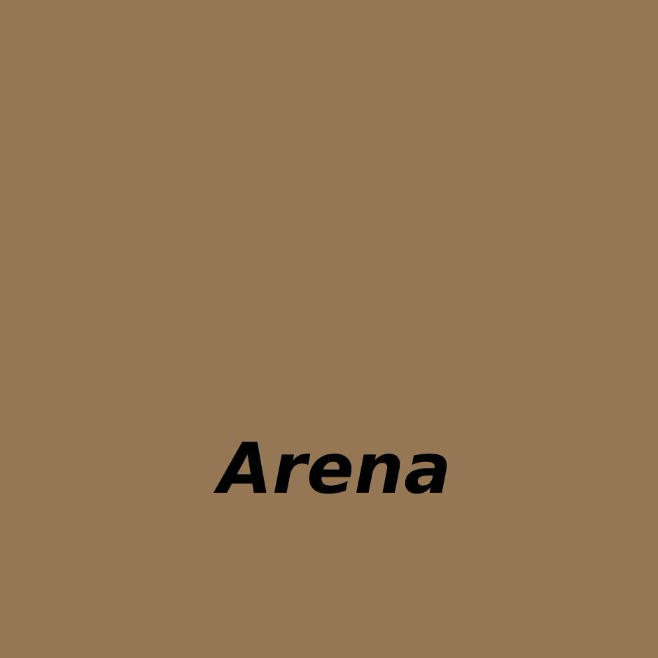 Arena
